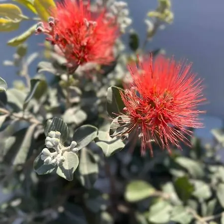 Appartamento Kritamo Perissa (Santorini)