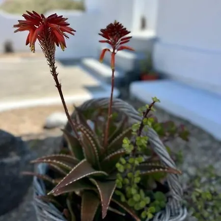 Kritamo * Perissa (Santorini)